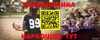 стаф Абакан