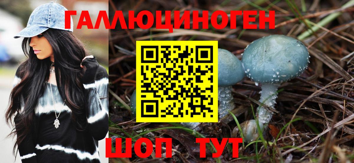 Галлюциногенные грибы GOLDEN TEACHER Абакан