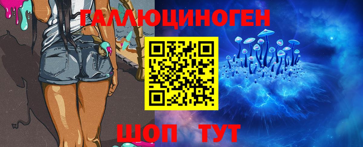 Псилоцибиновые грибы мухоморы  Псилоцибиновые грибы Psilocybe  Абакан 