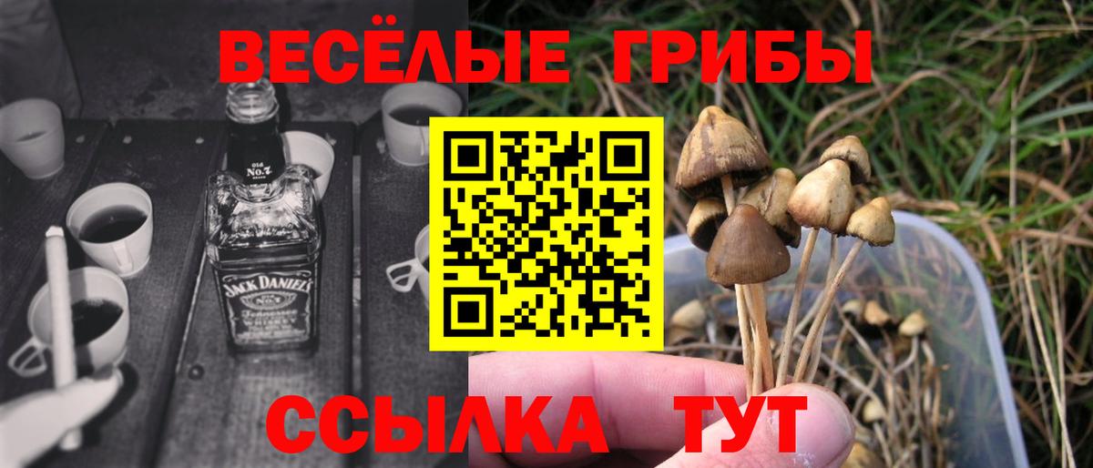Псилоцибиновые грибы Magic Shrooms Абакан