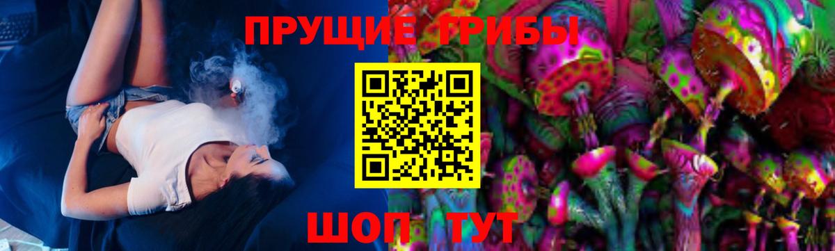 Галлюциногенные грибы Cubensis  Вход с VPN  Абакан 
